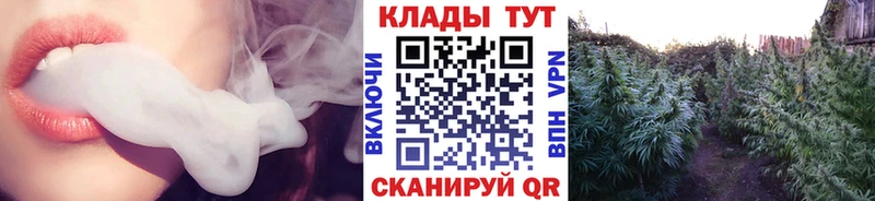  Cocaine Тольятти