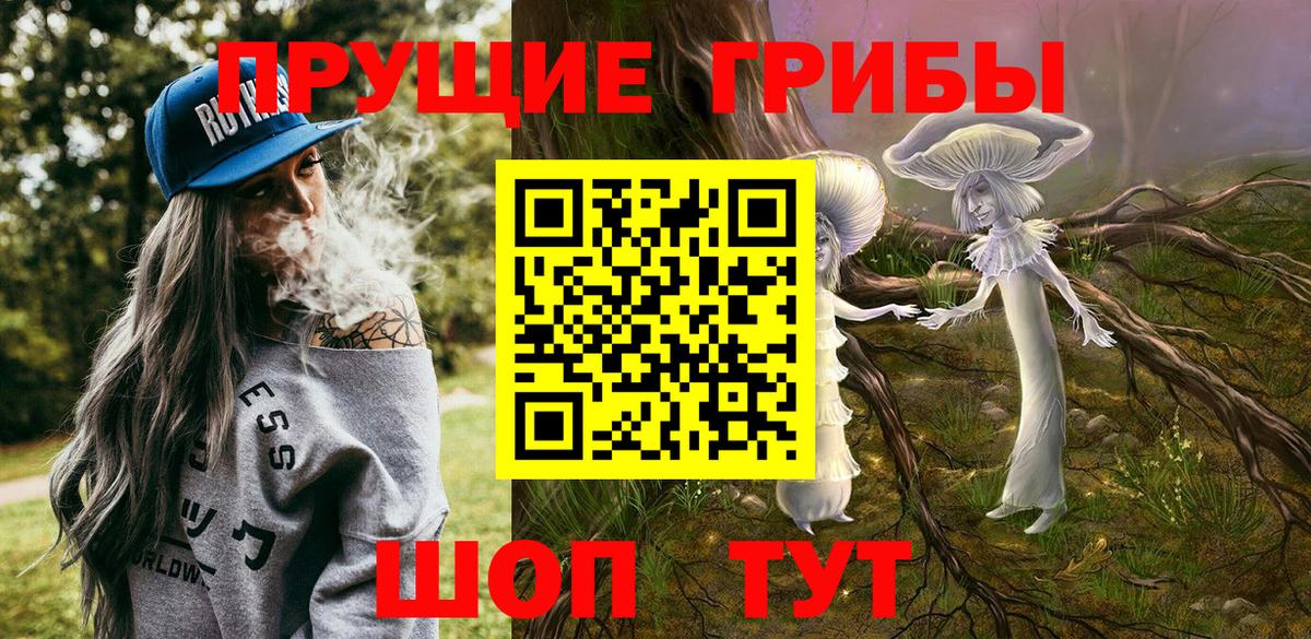 Псилоцибиновые грибы Psilocybe Тольятти