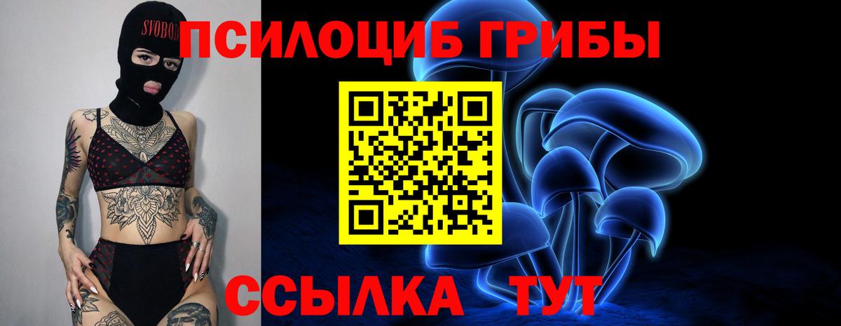 Псилоцибиновые грибы GOLDEN TEACHER  Вход с VPN  где продают   Тольятти  Псилоцибиновые грибы Cubensis 